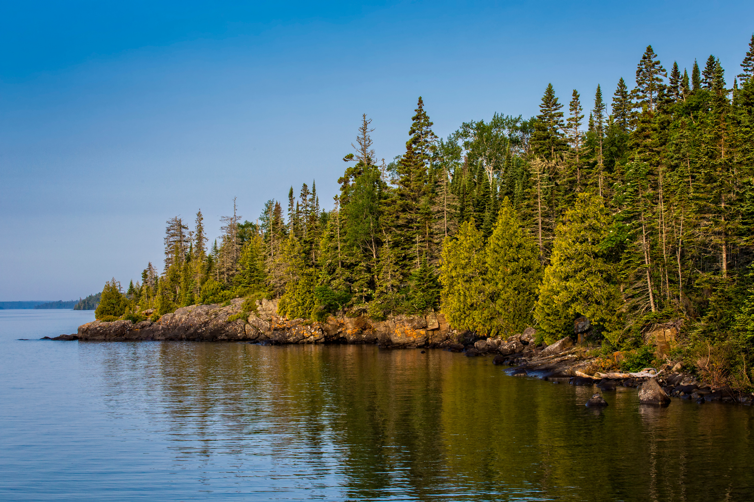 isle royale (2).webp